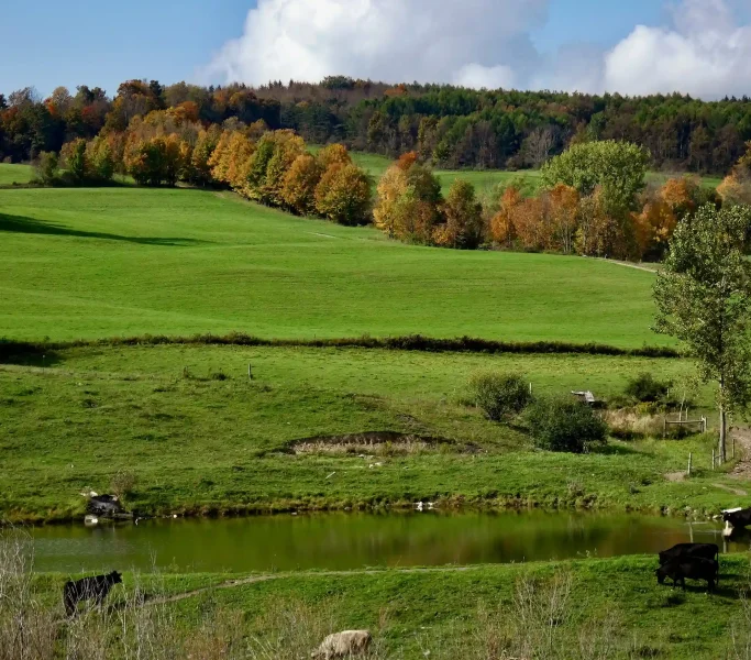 farmland-2023-11-27-05-23-46-utc_4_11zon