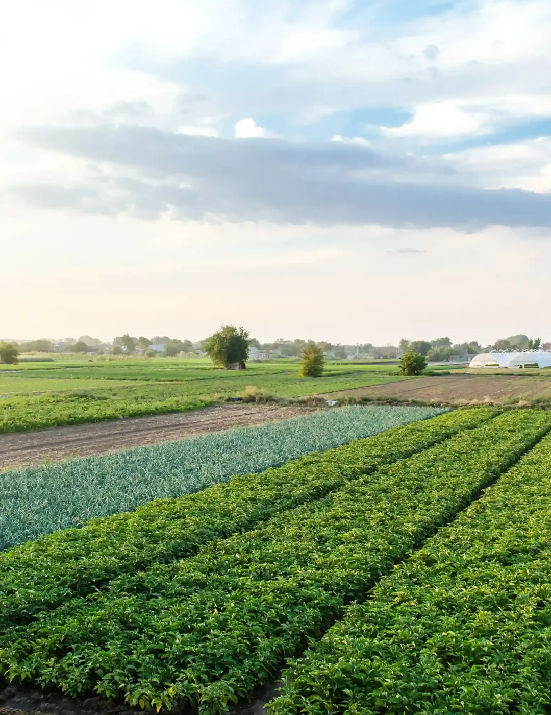 farmland-landscape-2023-11-27-04-59-22-utc_5_11zon