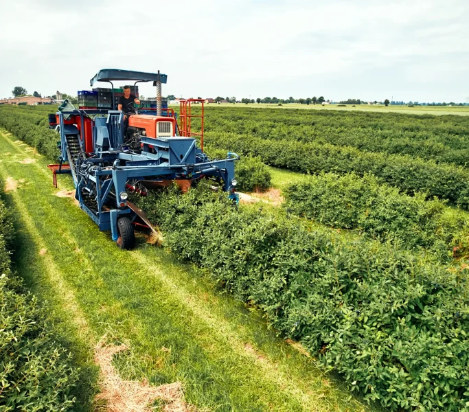 modern-machinery-harvesting-crops-on-vast-farmland-2024-07-22-19-39-15-utc_4_11zon